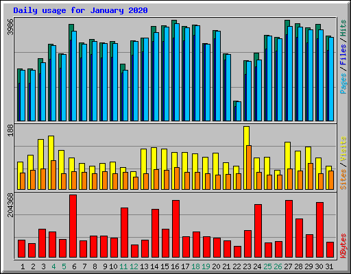 Daily usage for January 2020