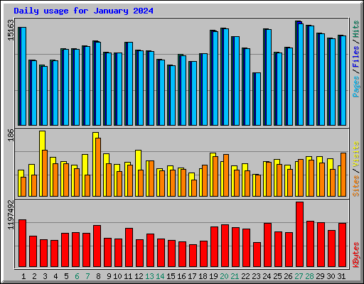 Daily usage for January 2024