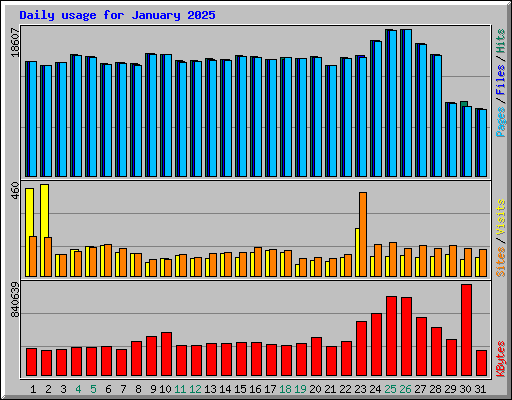 Daily usage for January 2025
