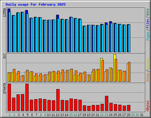 Daily usage for February 2025