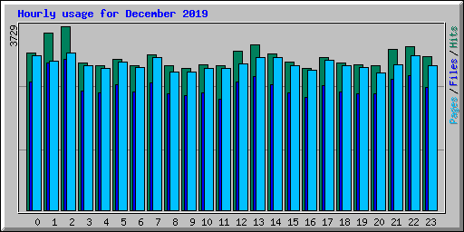 Hourly usage for December 2019