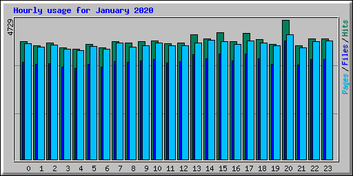 Hourly usage for January 2020