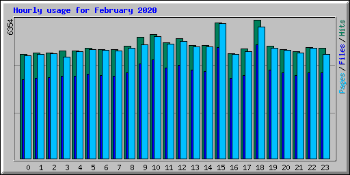 Hourly usage for February 2020