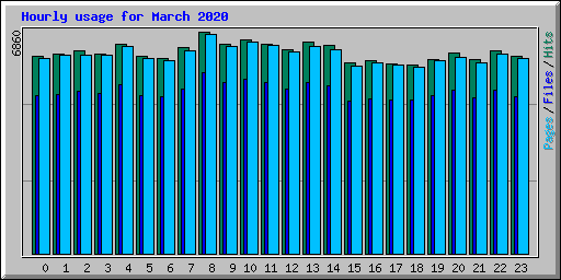 Hourly usage for March 2020