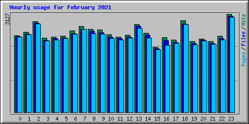 Hourly usage for February 2021