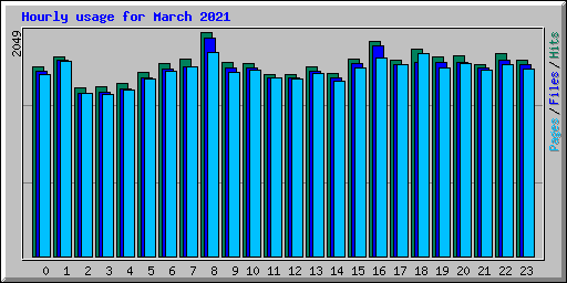 Hourly usage for March 2021