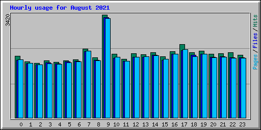 Hourly usage for August 2021