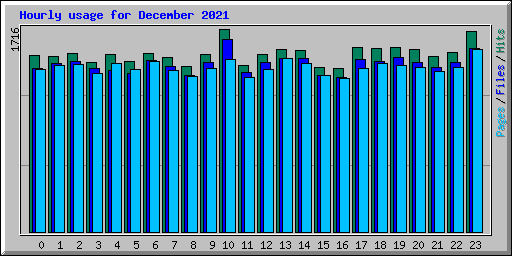 Hourly usage for December 2021