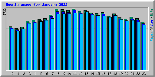 Hourly usage for January 2022