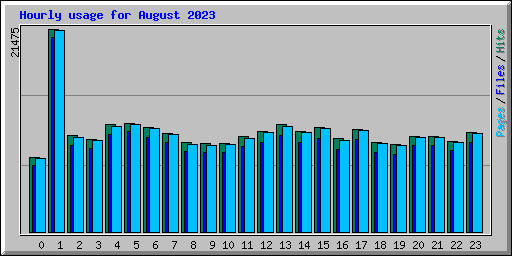 Hourly usage for August 2023