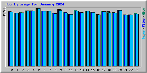 Hourly usage for January 2024