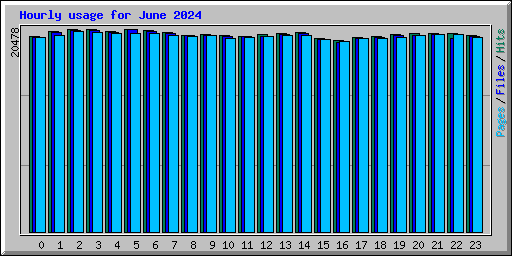 Hourly usage for June 2024