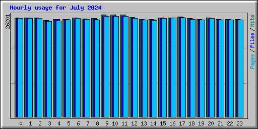 Hourly usage for July 2024