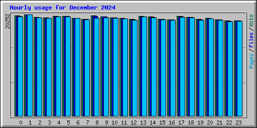 Hourly usage for December 2024