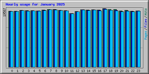 Hourly usage for January 2025