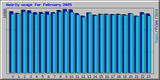 Hourly usage for February 2025