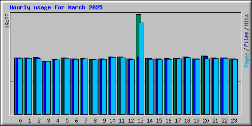 Hourly usage for March 2025