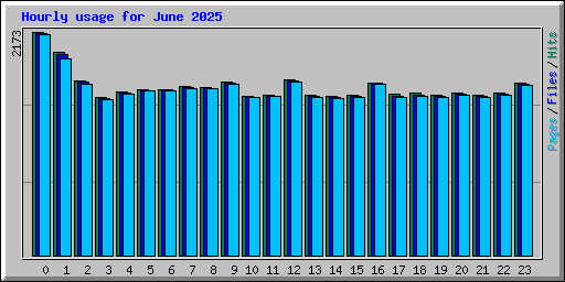 Hourly usage for June 2025
