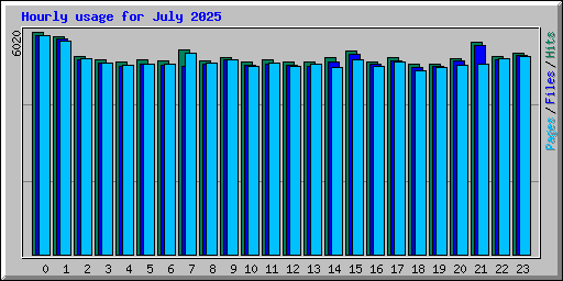 Hourly usage for July 2025