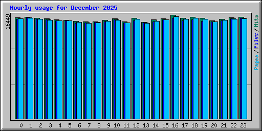 Hourly usage for December 2025